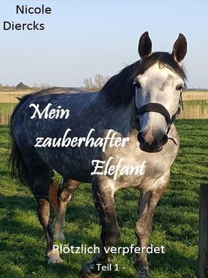 cover image of Mein zauberhafter Elefant